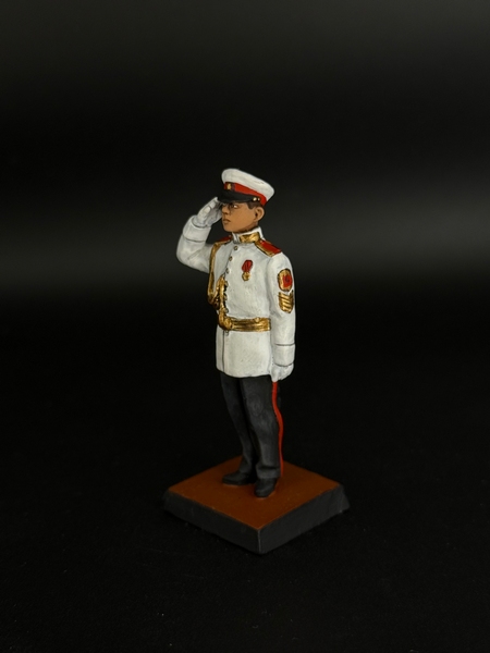 IMG 1vbbgfdf666067_6